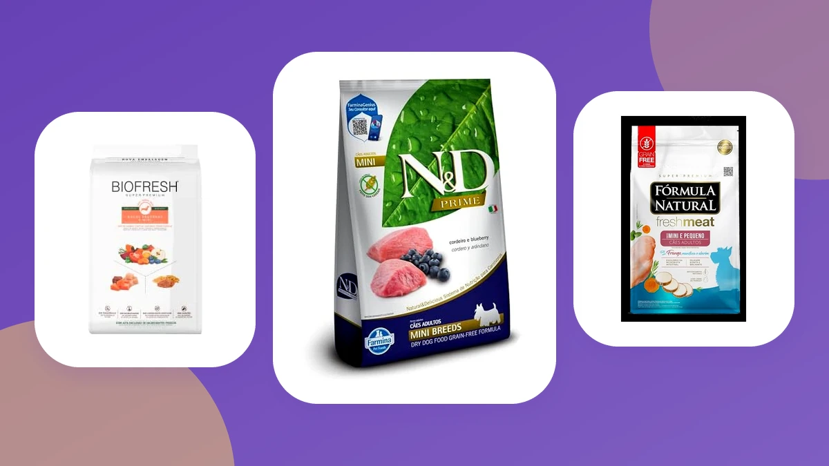 Melhor ração natural: as 7 melhores em 2026